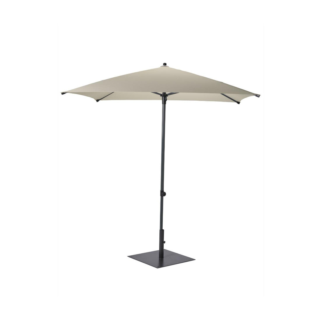 Candice Parasol