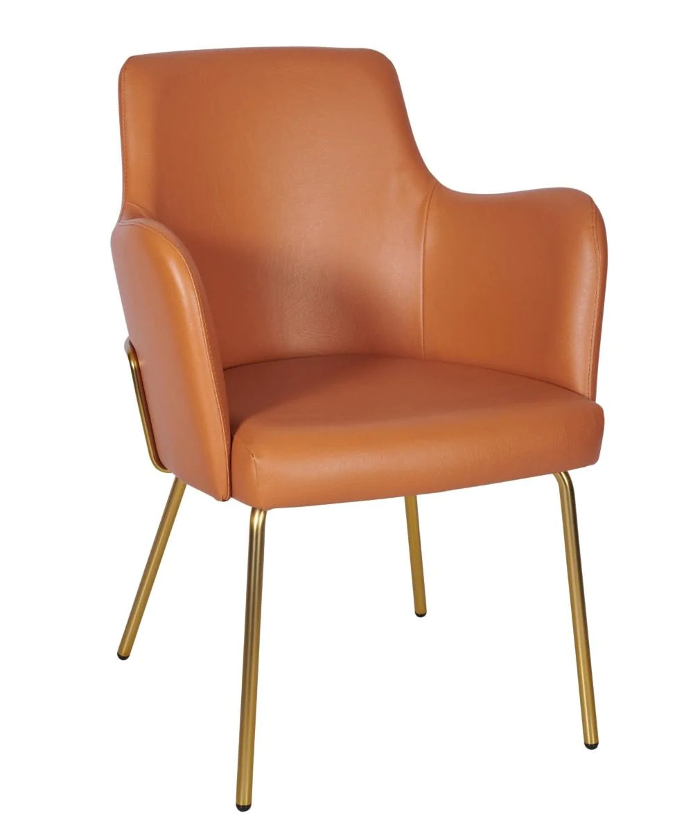 Camden Tube Frame Armchair - Camden Tube Frame Armchair (Brass) - view 1