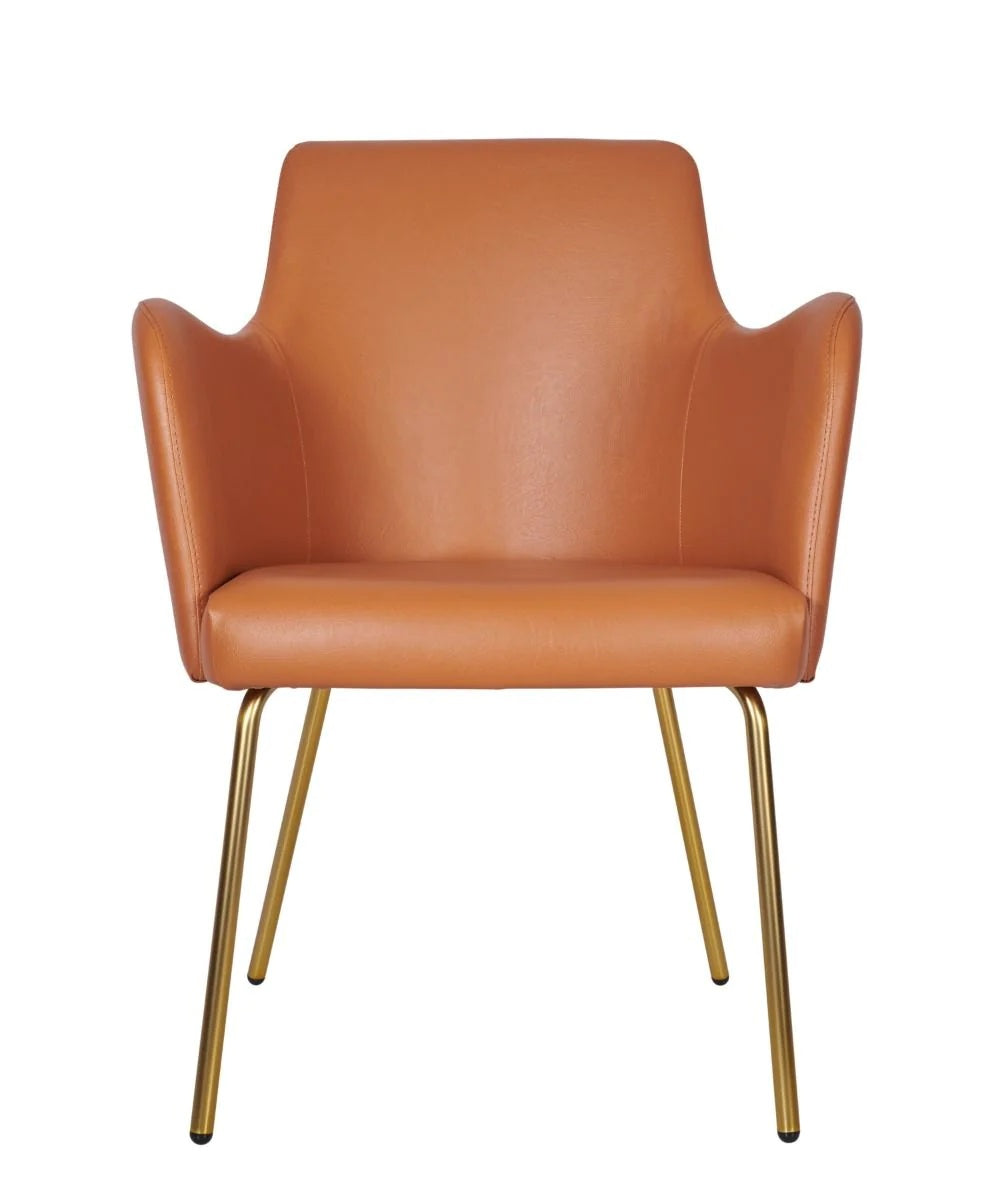Camden Tube Frame Armchair - Camden Tube Frame Armchair (Brass) - view 2