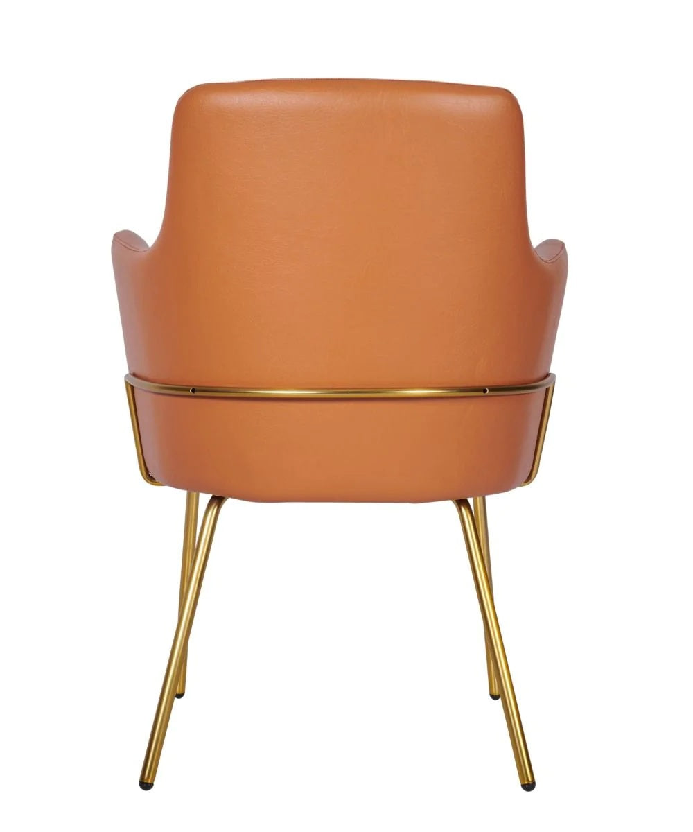 Camden Tube Frame Armchair - Camden Tube Frame Armchair (Brass) - view 4