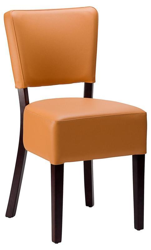 Charlie Side Chair - Faux Leather With Wenge Frame - main image