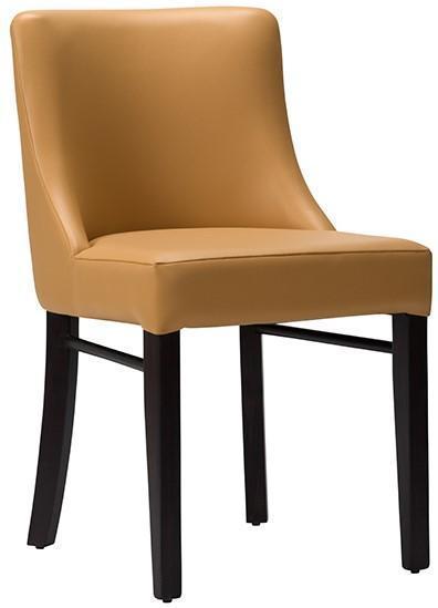 Sienna Side Chair -  Faux Leather With Wenge Frame - main image
