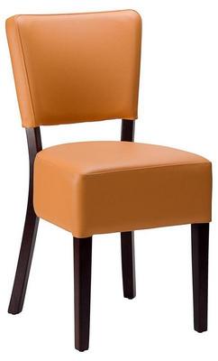 Charlie Side Chair - Cappuccino Faux Leather With Wenge Frame - thumbnail image 4